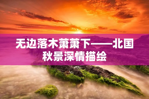 无边落木萧萧下——北国秋景深情描绘