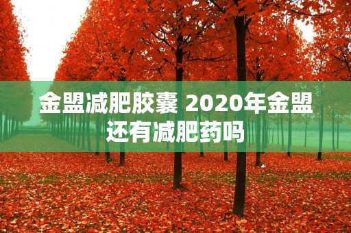 金盟减肥胶囊 2020年金盟还有减肥药吗