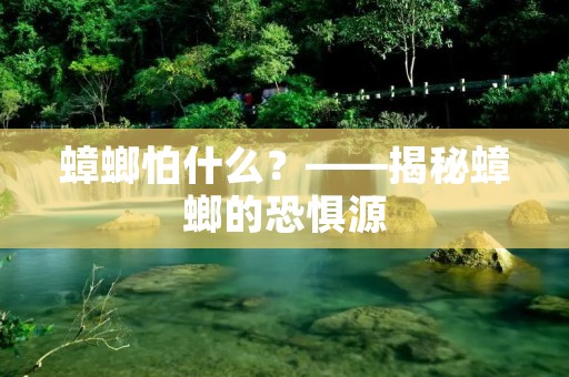 蟑螂怕什么?——揭秘蟑螂的恐惧源