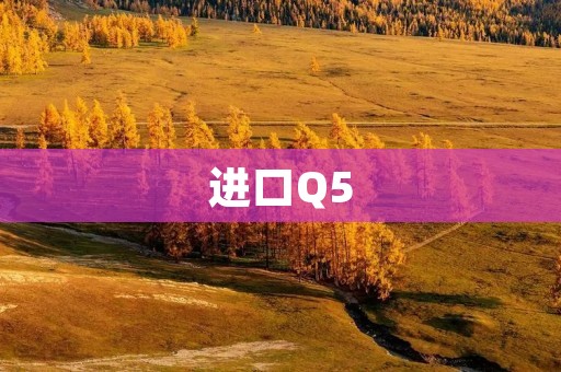 进口Q5:领略德系豪华SUV的别样风情 进口Q5:领略德系豪华SUV的别样风情