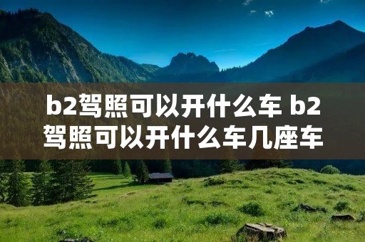 b2驾照可以开什么车 b2驾照可以开什么车几座车