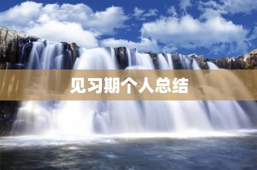 见习期个人总结:成长的脚步