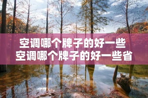 空调哪个牌子的好一些 空调哪个牌子的好一些省电