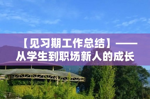 【见习期工作总结】——从学生到职场新人的成长历程