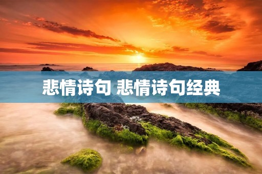 悲情诗句 悲情诗句经典 悲情诗句 悲情诗句经典
