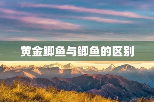 黄金鲫鱼与鲫鱼的区别 黄金鲫鱼与鲫鱼的区别