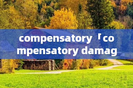compensatory「compensatory damage」