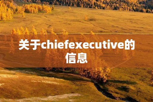 关于chiefexecutive的信息