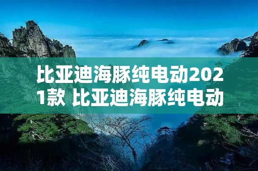 比亚迪海豚纯电动2021款 比亚迪海豚纯电动2021款上市时间 比亚迪海豚纯电动2021款 比亚迪海豚纯电动2021款上市时间