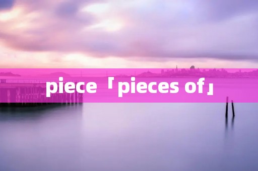 piece「pieces of」