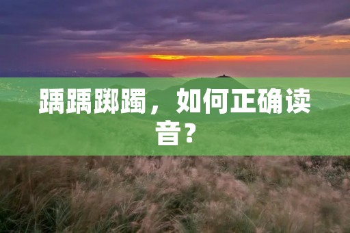 踽踽踯躅,如何正确读音?