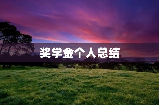 奖学金个人总结：我的成长与感悟