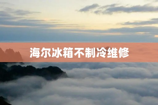 海尔冰箱不制冷维修：原因和解决办法