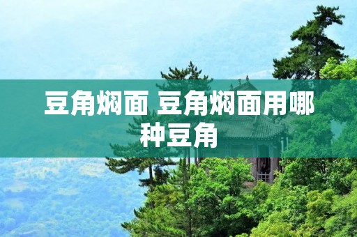 豆角焖面 豆角焖面用哪种豆角