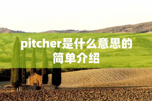 pitcher是什么意思的简单介绍 pitcher是什么意思的简单介绍