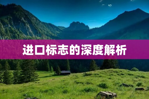 进口标志的深度解析 进口标志的深度解析