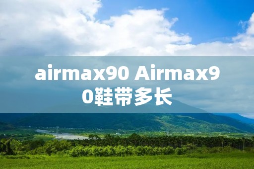 airmax90 Airmax90鞋带多长