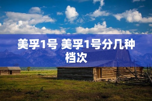 美孚1号 美孚1号分几种档次