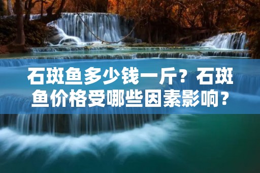 石斑鱼多少钱一斤?石斑鱼价格受哪些因素影响?
