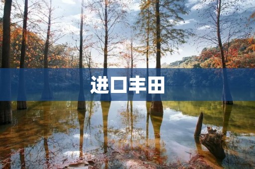 进口丰田:一种高品质的驾驶体验 进口丰田:一种高品质的驾驶体验