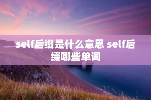 self后缀是什么意思 self后缀哪些单词 self后缀是什么意思 self后缀哪些单词