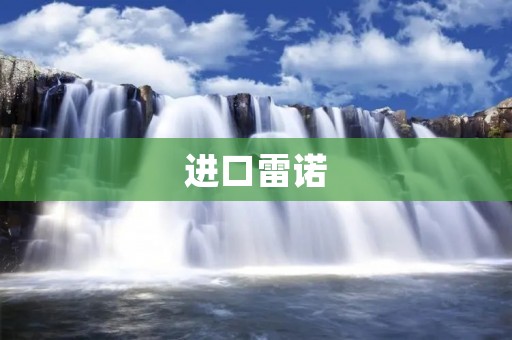 进口雷诺:品质与性能的完美结合
