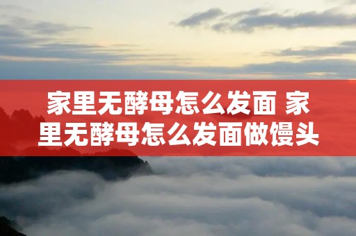 家里无酵母怎么发面 家里无酵母怎么发面做馒头