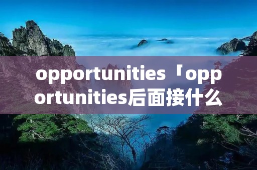 opportunities「opportunities后面接什么」