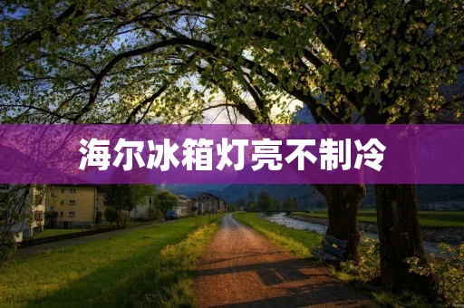 海尔冰箱灯亮不制冷:原因和解决方法 海尔冰箱灯亮不制冷:原因和解决方法