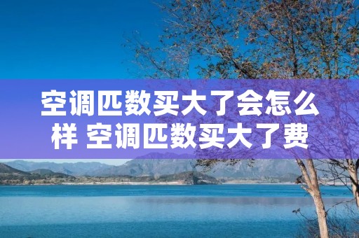 空调匹数买大了会怎么样 空调匹数买大了费电么 空调匹数买大了会怎么样 空调匹数买大了费电么