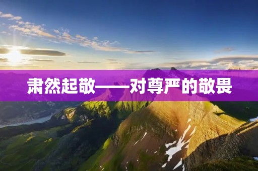 肃然起敬——对尊严的敬畏