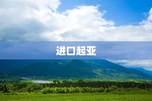 进口起亚:打造品质与性价比的完美平衡 进口起亚:打造品质与性价比的完美平衡