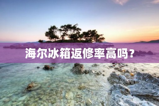 海尔冰箱返修率高吗？