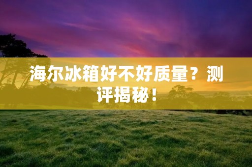 海尔冰箱好不好质量?测评揭秘! 海尔冰箱好不好质量?测评揭秘!