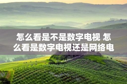 怎么看是不是数字电视 怎么看是数字电视还是网络电视