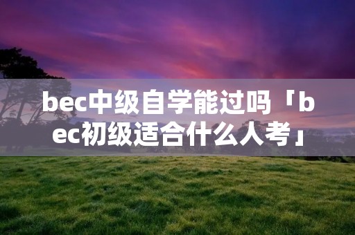 bec中级自学能过吗「bec初级适合什么人考」