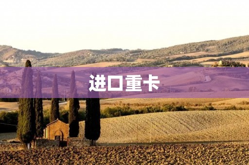 进口重卡:品质与性能的完美结合 进口重卡:品质与性能的完美结合