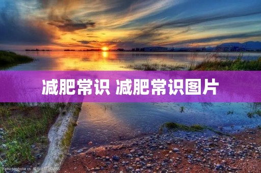 减肥常识 减肥常识图片
