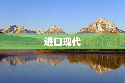 进口现代:品质与科技的完美结合 进口现代:品质与科技的完美结合