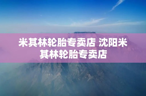 米其林轮胎专卖店 沈阳米其林轮胎专卖店