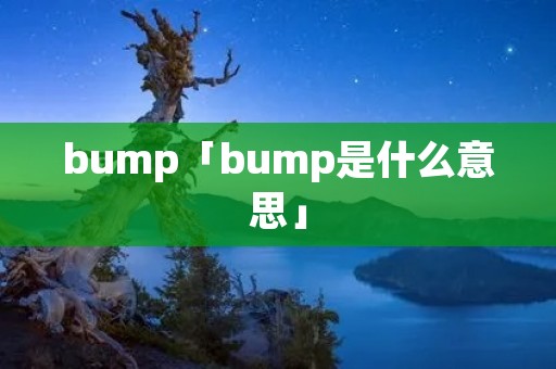 bump「bump是什么意思」