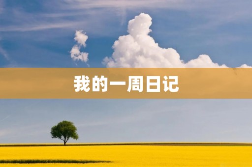 我的一周日记