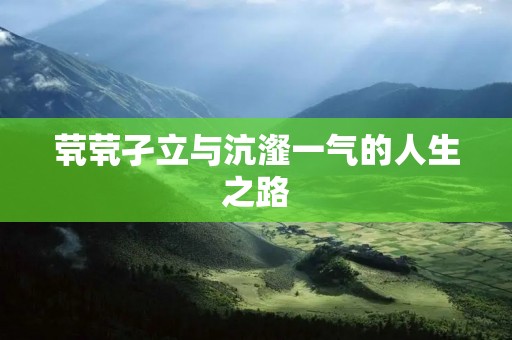 茕茕孑立与沆瀣一气的人生之路