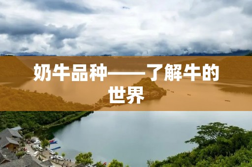 奶牛品种——了解牛的世界