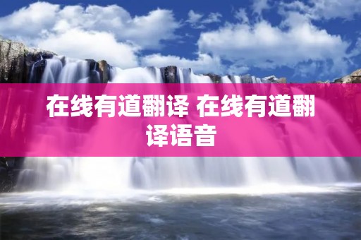 在线有道翻译 在线有道翻译语音