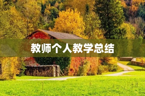 教师个人教学总结