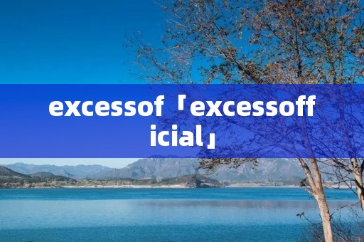 excessof「excessofficial」