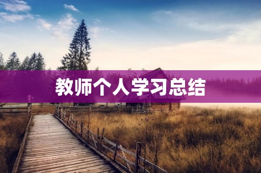 教师个人学习总结