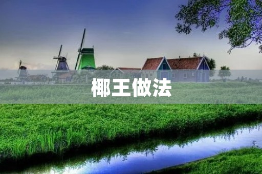 椰王做法：手抓饼轻松搞定