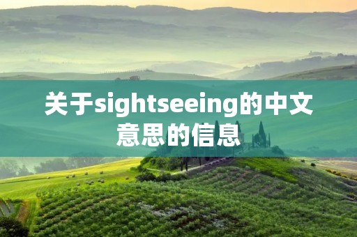 关于sightseeing的中文意思的信息 关于sightseeing的中文意思的信息